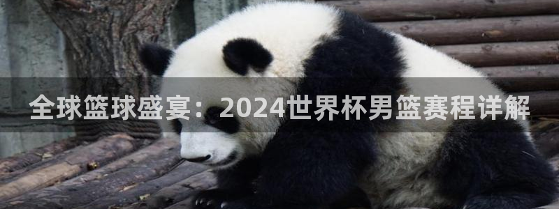 世界杯预选赛亚洲区赛程：全球篮球盛宴：2024世界杯男篮赛程详解