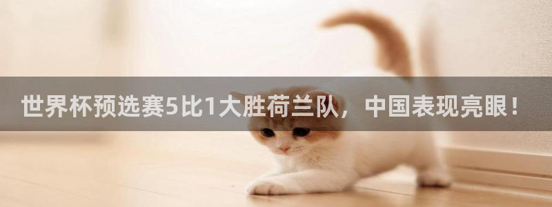 看世界杯：世界杯预选赛5比1大胜荷兰队，中国表现亮眼！