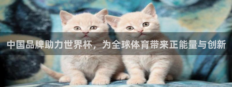 世界杯预选赛排名：中国品牌助力世界杯，为全球体育带来正能量与创新