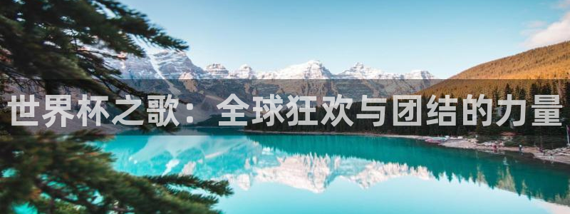 免费足球比赛直播高清：世界杯之歌：全球狂欢与团结的力量