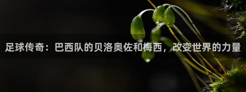 世界杯预赛赛程：足球传奇：巴西队的贝洛奥佐和梅西，改变世界的力量