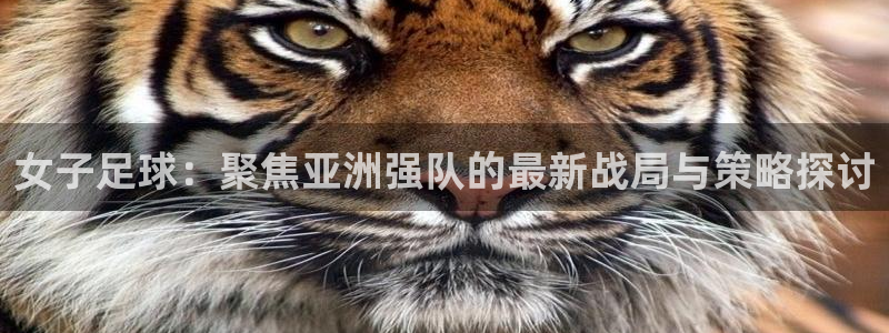 今年的世界杯：女子足球：聚焦亚洲强队的最新战局与策略探讨