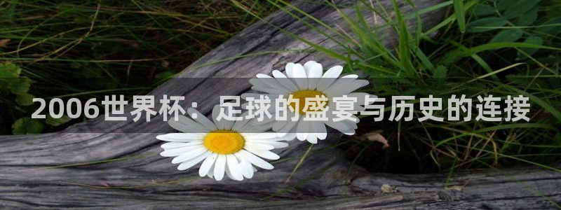 足球世界杯：2006世界杯：足球的盛宴与历史的连接