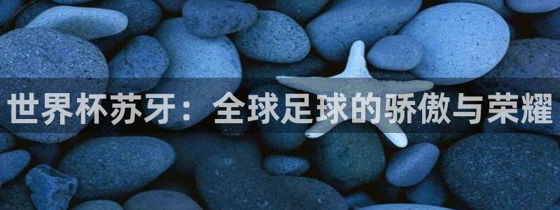 世界杯欧洲区预选赛赛程：世界杯苏牙：全球足球的骄傲与荣耀
