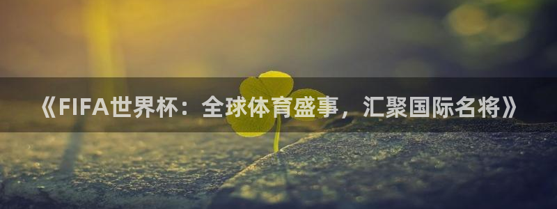 2006年世界杯：《FIFA世界杯：全球体育盛事，汇聚国际名将》