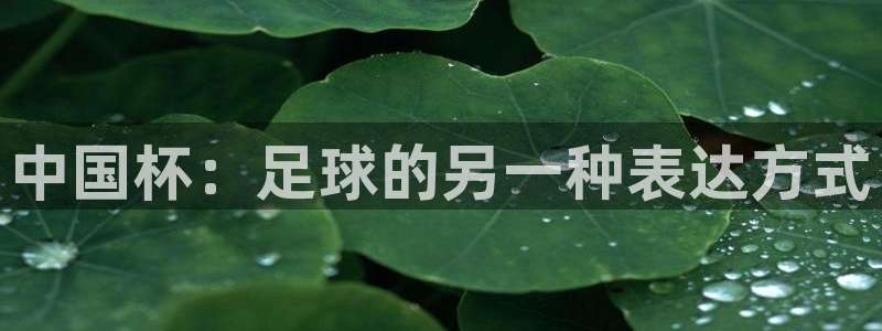 足球世界杯2026：中国杯：足球的另一种表达方式