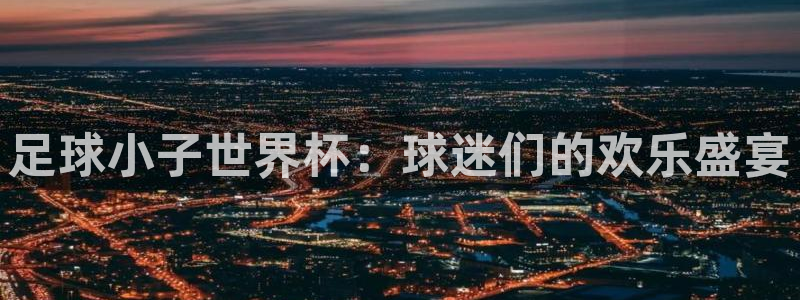 世界杯亚洲区预选赛赛程表：足球小子世界杯：球迷们的欢乐盛宴