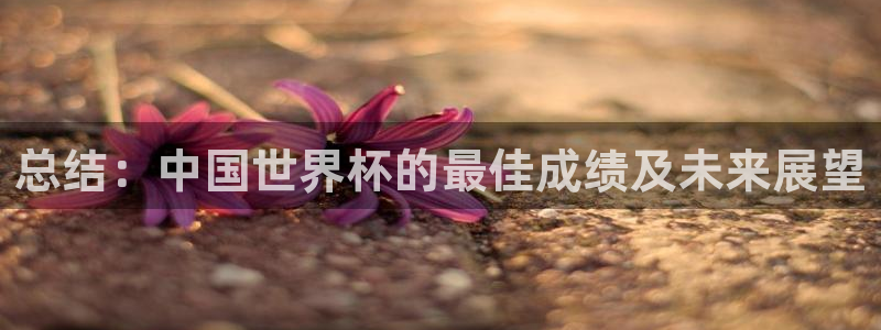 世界杯16强赛程表：总结：中国世界杯的最佳成绩及未来展望