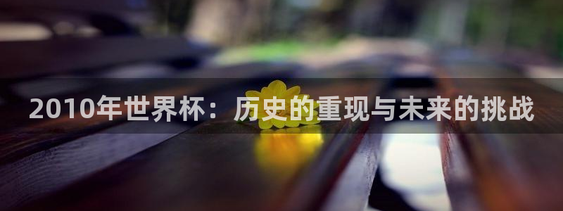 2026世界杯赛程：2010年世界杯：历史的重现与未来的挑战
